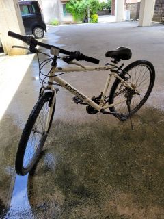 🚲石垣島で愛用していた自転車
