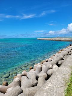 🐡サザンゲートブリッジ