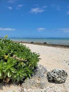 🌊真栄里近くのビーチにて。