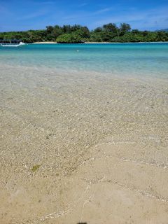 🚣川平湾